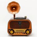 Radio Portable MEIER MD-1319BT – Bluetooth 5.4, 5 Bandes (FM/AM/SW), Lecteur USB & AUX Bitobi